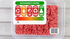 Holly Harry Adobe Stock 468705362