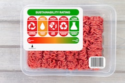 Holly Harry Adobe Stock 468705362