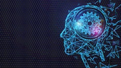 Adobe Stock 318111476