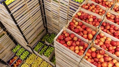 Perishable fruit and vegetables stacked for warehousing.