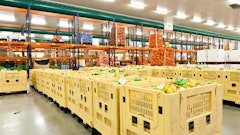 Chlorophylle Stock adobe com