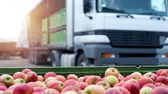 Four Kites Produce Truck