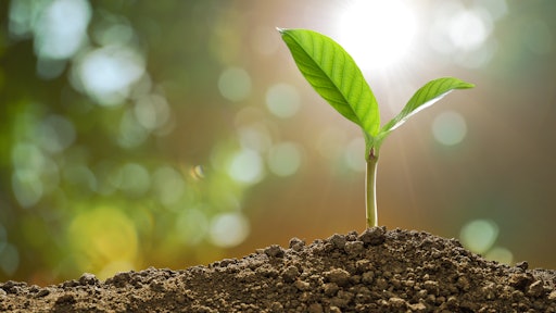 Stock Growing Plant