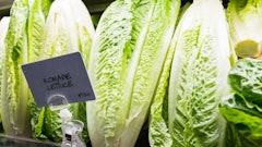 Stock Romaine Lettuce