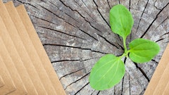 Ruslan Khismatov Adobe Stock 409882644