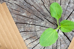 Ruslan Khismatov Adobe Stock 409882644