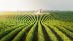 solutions to transportation problems in agriculture Dusan Kostic Stock adobe com