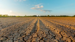 solutions to transportation problems in agriculture Neenawat555 Adobe Stock 295563497