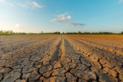 Neenawat555 Adobe Stock 295563497