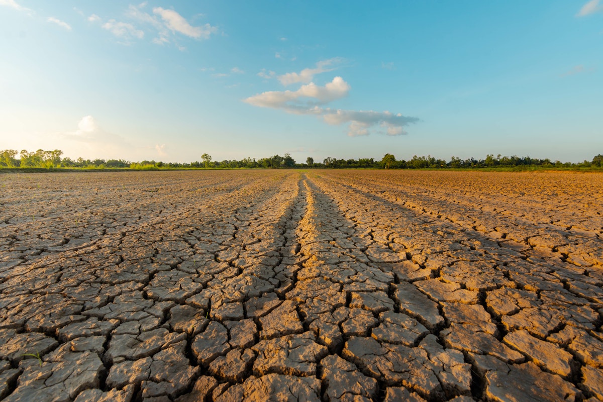 Weathering Drought in the Panama Canal