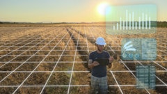 Luka Adobe Stock 620325989