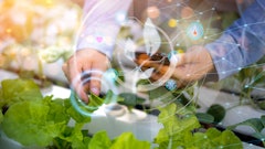 Have A Nice Day Adobe Stock 374460072