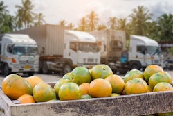 Kamonrat Stock adobe com