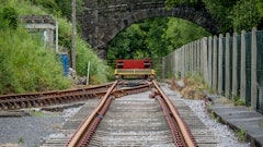 Mushy Adobe Stock 512378391