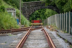 Mushy Adobe Stock 512378391