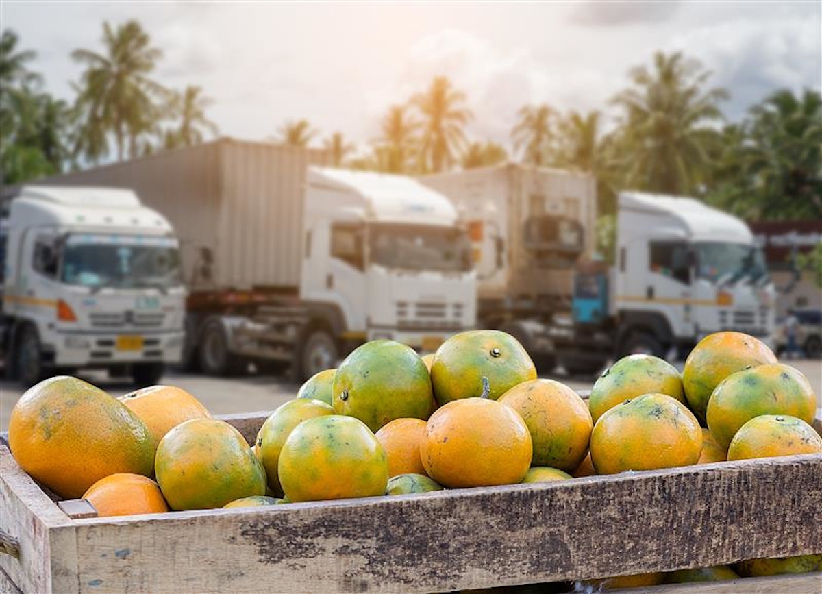 Navigating the Food Distribution Landscape Food Logistics