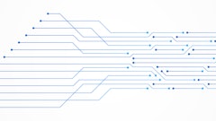 Adobe Stock 428803993