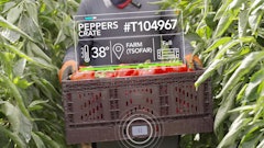 Williot Food Safety Initiative