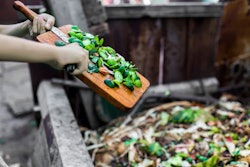 Lomiso Adobe Stock 200857846
