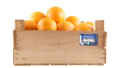 Tive Solo Lite White Box Copy