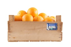 Tive Solo Lite White Box Copy