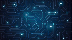 Adobe Stock 278385402 (3)