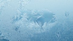 Adobe Stock 298526236