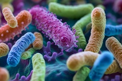 Ilia Nesolenyi Adobe Stock 912293350