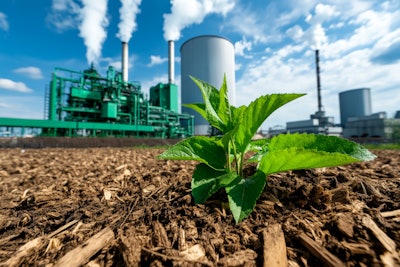 Sustainability reporting will be a big thing to come in 2025.