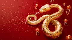 Peludis Adobe Stock 780899836