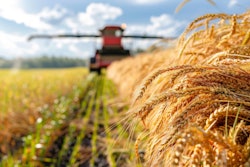 Spyrakot Adobe Stock 861852051