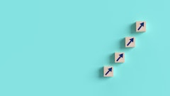 Adobe Stock 488679934