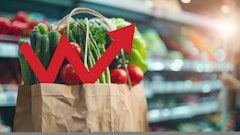 Mamstock AdobeStock_918531934.jpeg.crdownload