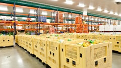 Chlorophylle Adobe Stock 30535486