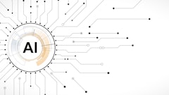 Kras99 Adobe Stock 279325601