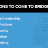 bridges infographic 59527c6e65426