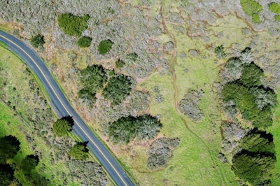 Drone View Aerial View Road Route Grass 1349483
