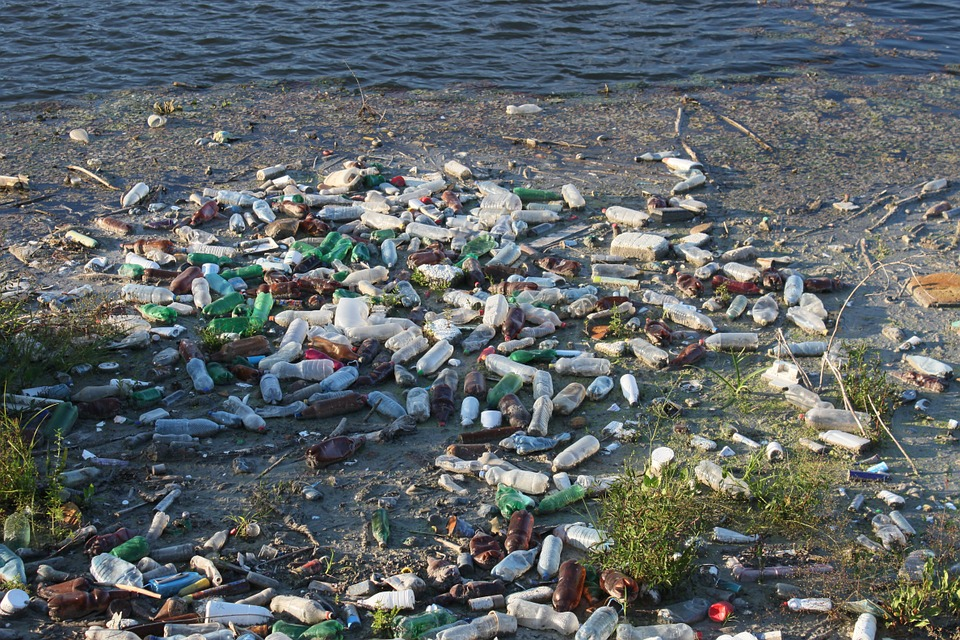 Plastic Pollution