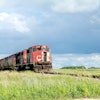 Cn