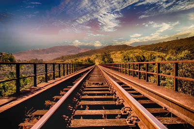Bridge Clouds Forest 461772