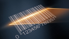 Sashkin Stock adobe com