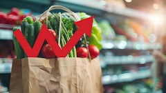 Mamstock Adobe Stock 918531934