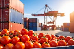 Faizan Adobe Stock 1496954968