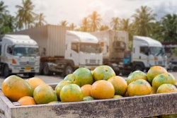 Kamonrat Stock adobe com