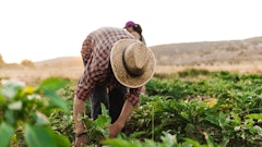 Manu Reyes Adobe Stock 282660820