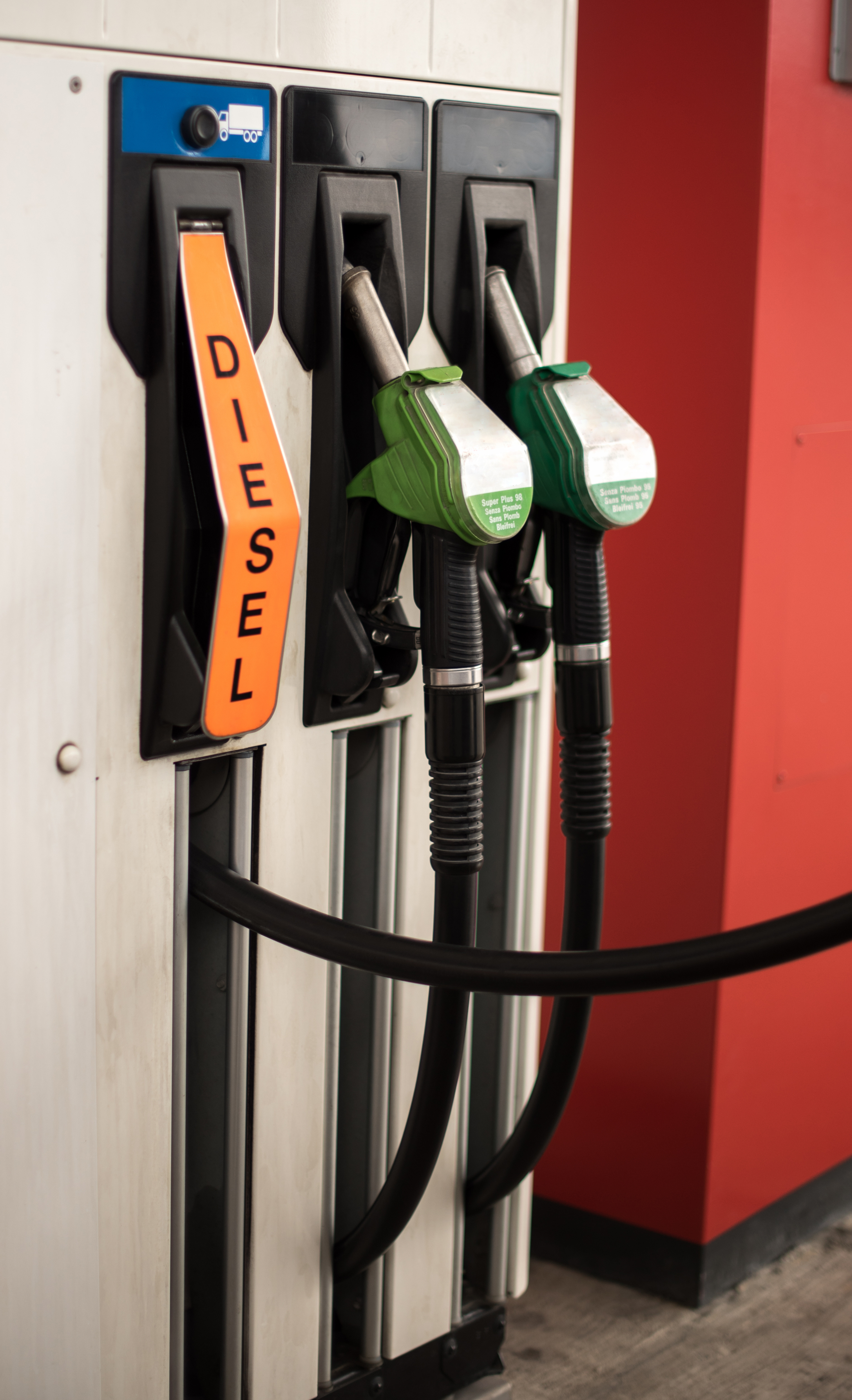 Buenafoto Adobe Stock 138662933