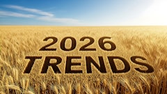 Tania Adobe Stock 1739781662