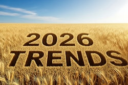 Tania Adobe Stock 1739781662