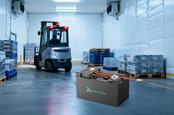 Roypow Anti Freeze Lithium Forklift Batteries