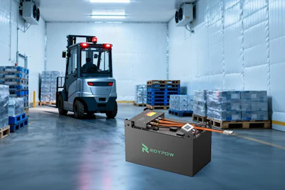 Roypow Anti Freeze Lithium Forklift Batteries